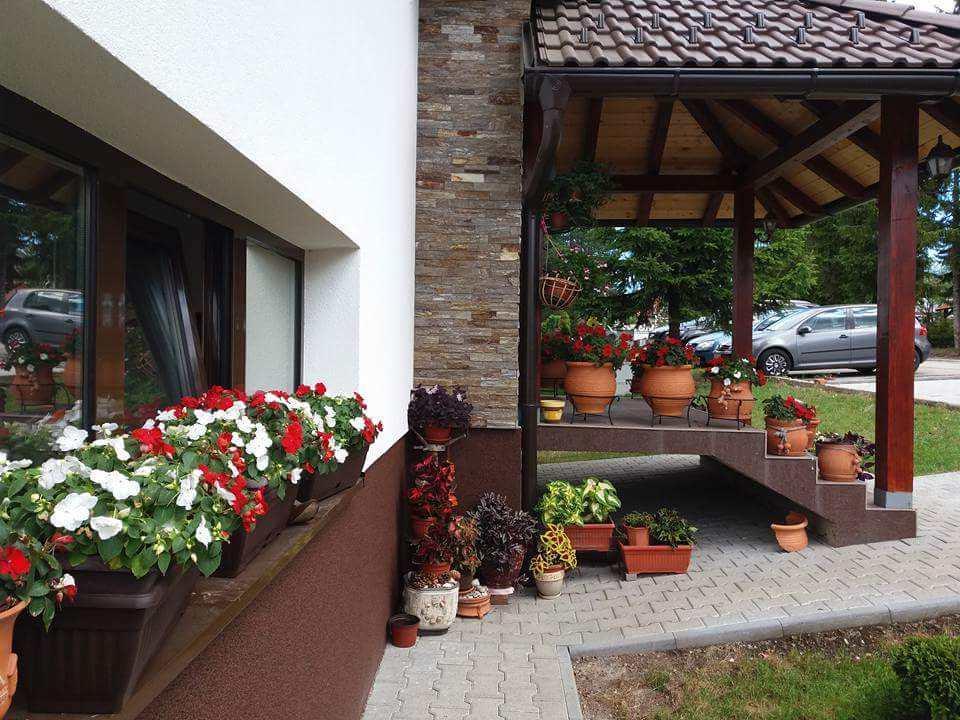 Lufi Penthouse Apartment Zlatibor Extérieur photo
