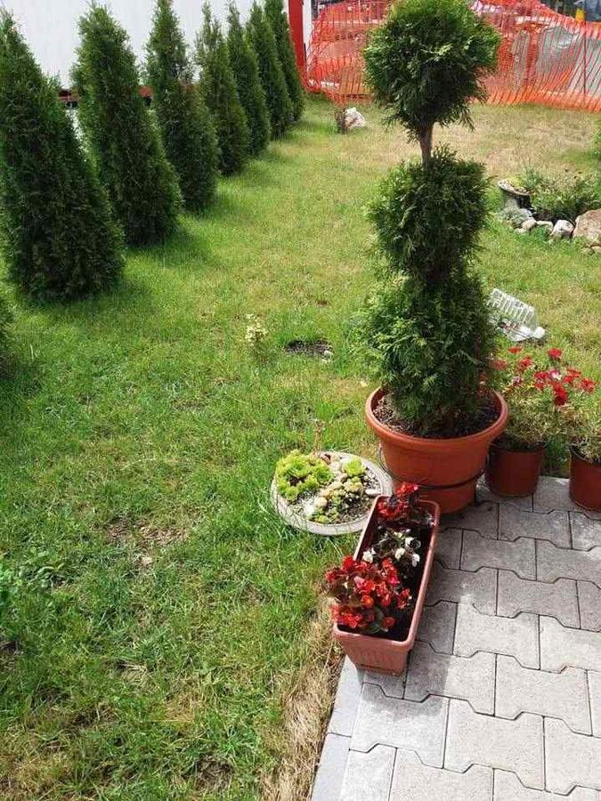 Lufi Penthouse Apartment Zlatibor Extérieur photo